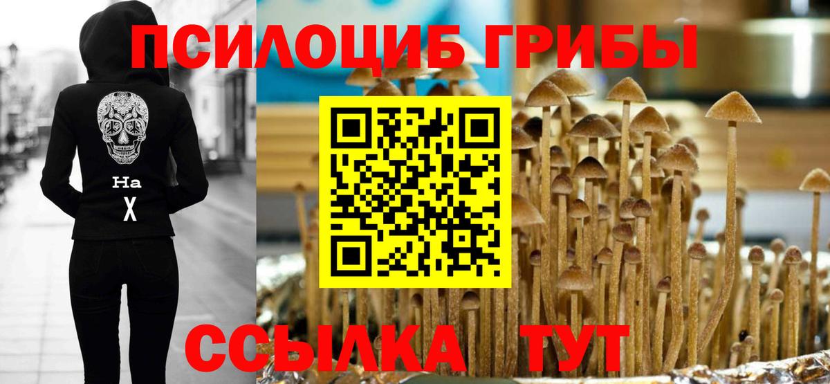 Псилоцибиновые грибы Cubensis  хочу наркоту  Вологда  Вход с VPN  Псилоцибиновые грибы мухоморы 