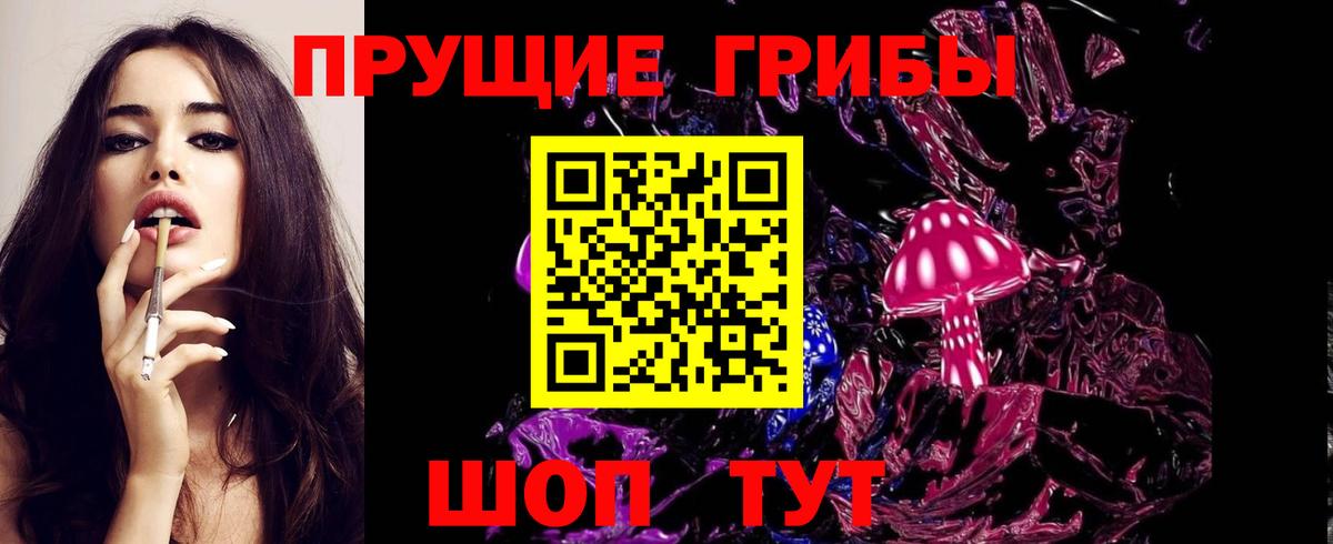 Псилоцибиновые грибы Psilocybe Вологда
